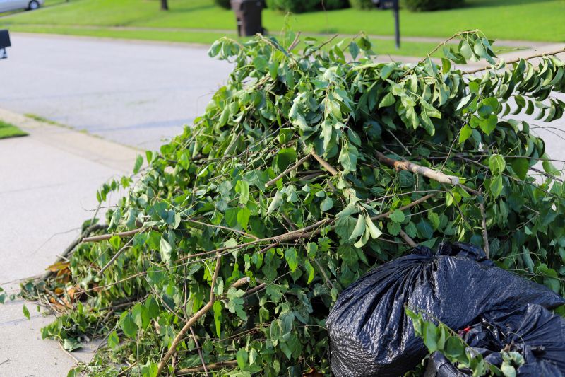 Bush Removal