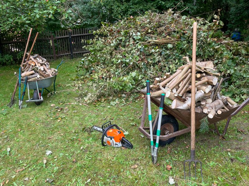 Tools for Bush Removal