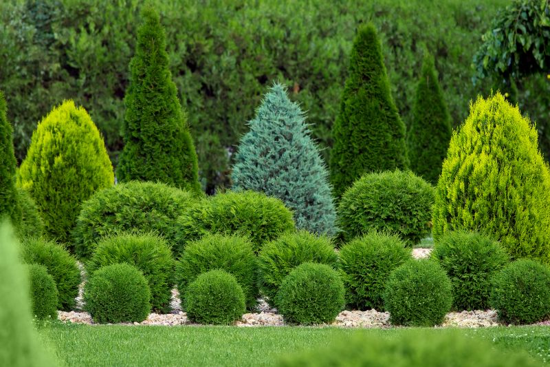 Shaped Bushes