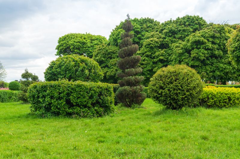 Shrubs Removal in Ventura County, CA