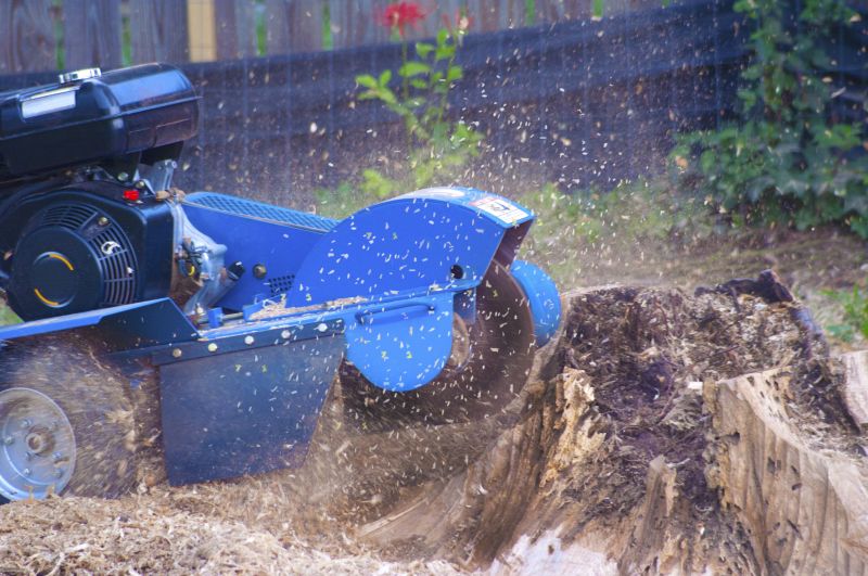 Tree Root Grinding in Waldorf, MD