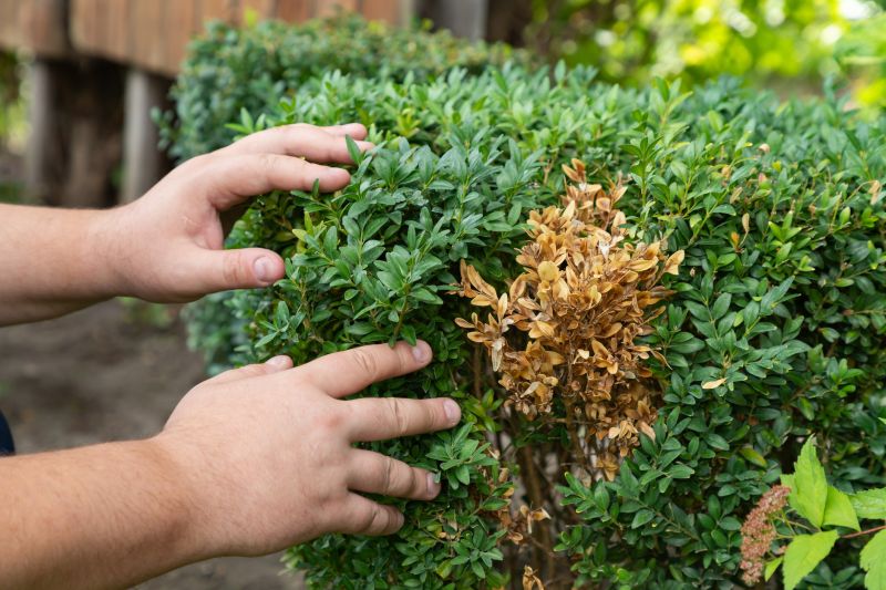 Stop bushes from taking over your garden